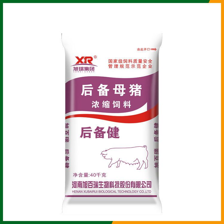 后備健